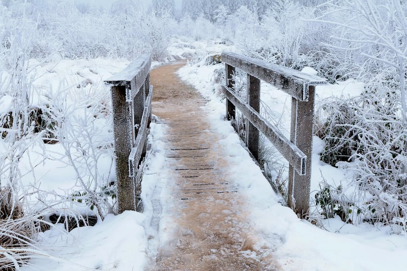 Nature Walk