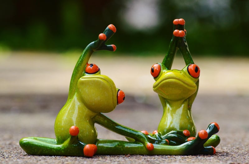 Pilates Exercise